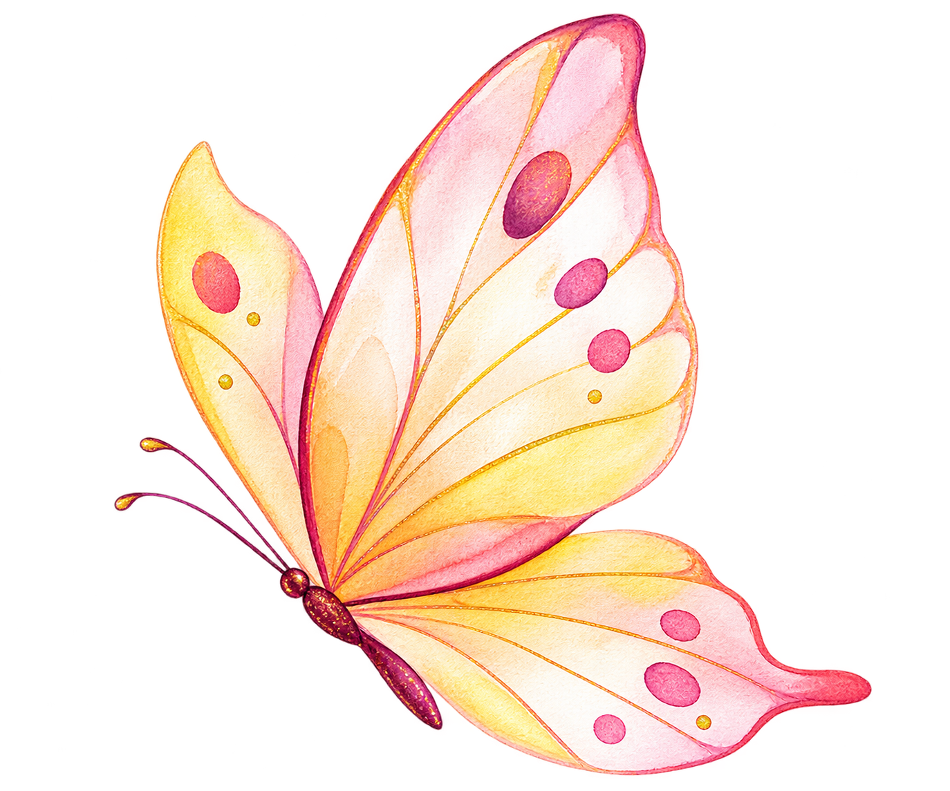 Papillon en plein envol